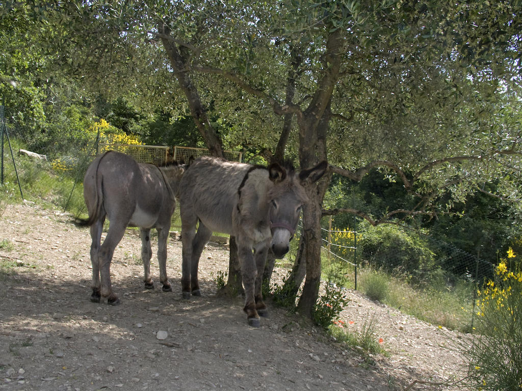 Casignano Bed and Breakfast Bagno a Ripoli Buitenkant foto